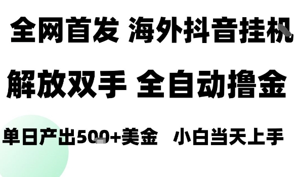 海外抖音无人直播,单日产出1.5k+,长期稳定,新手可玩,无脑操作-冷静项目网