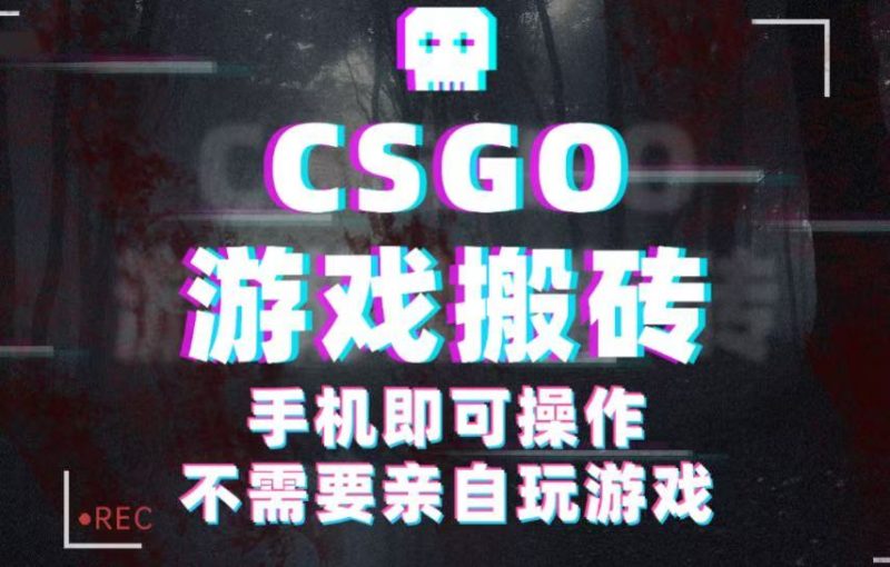 CSGO游戏挂机捡漏，单日扫货500+，年底小高峰上车可吃肉，手机即可操作兼职副业-冷静项目网