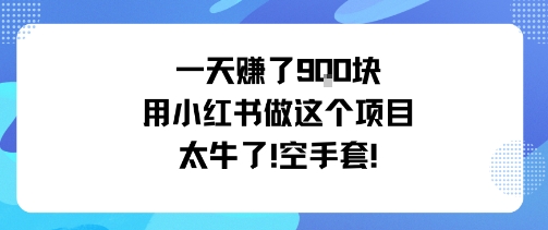 一天挣了9张用小红书做这个项目太牛了,空手套-冷静项目网