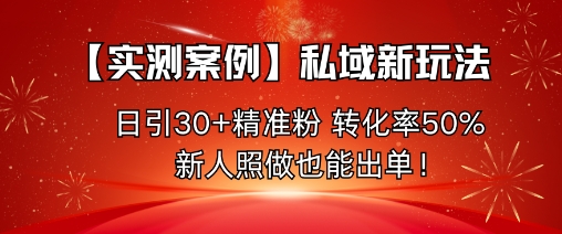 【实测案例】私域新玩法,日引30+精准粉,转化率50%,新人照做也能出单!-冷静项目网