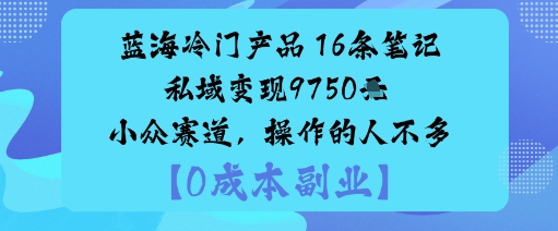 蓝海冷门产品：16条笔记私域变现9750米小众赛道，操作的人不多-冷静项目网
