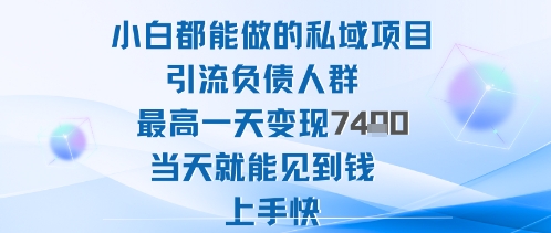 2025年小白都能做的私域项目引流负债人群最高一天变现1k+高变现难度低当天就能见到钱上手快-冷静项目网