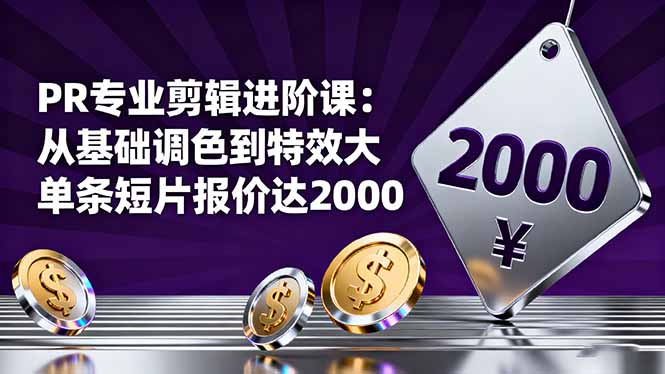 （16381期）PR专业剪辑进阶课：从基础调色到特效大片的进阶技能，单条短片报价达2000-冷静项目网