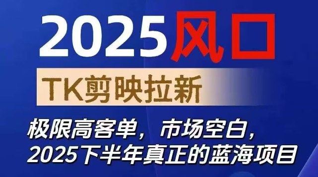 2025风口TK剪映capcut拉新项目,极限高客单,市场空白,2025下半年真正的蓝海项目-冷静项目网