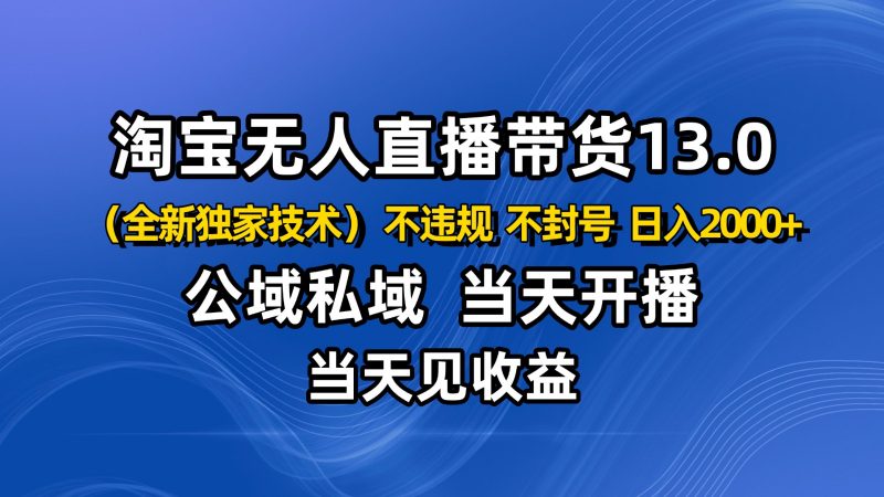 淘宝无人直播13.0，公域私域技术，不封号，不违规 布局下半年旺季赛道，日入2000+-冷静项目网