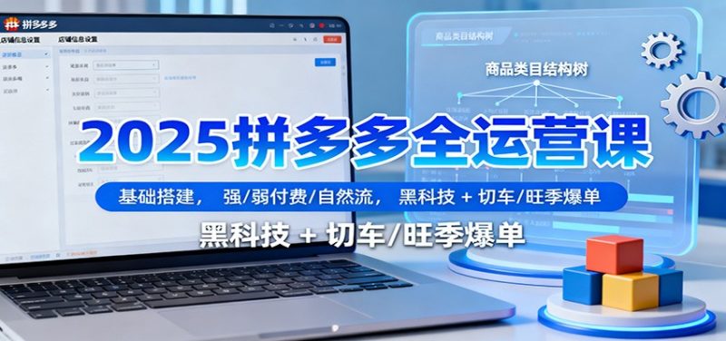2025拼多多全运营课:基础搭建,强/弱付费/自然流,黑科技 + 切车/旺季爆单-冷静项目网