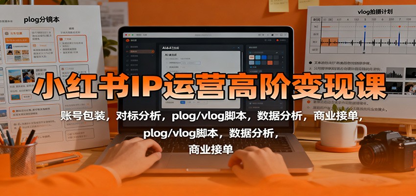 小红书IP运营高阶变现课：账号包装，对标分析，plog/vlog脚本，数据分析，商业接单-冷静项目网