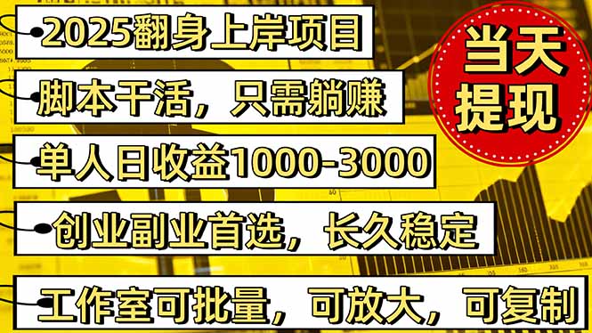 (16501期)2025翻身上岸项目脚本干活,内部客户经理内部开号,单人日收益1000-300…-冷静项目网