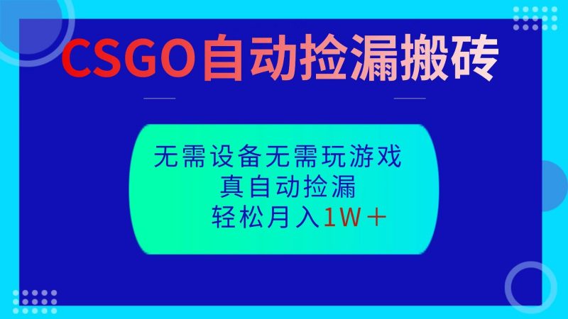 CSGO自动捡漏搬砖，当天操作当天见结果，无需了解游戏，包教包会包落地-冷静项目网