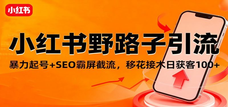小红书野路子引流,暴力起号+SEO霸屏截流,移花接木日获客100+-冷静项目网