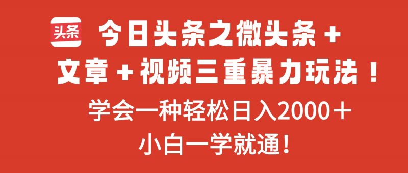 (16556期)今日头条之微头条+文章+视频三重暴力玩法,学会一种轻松日入2000+,…-冷静项目网