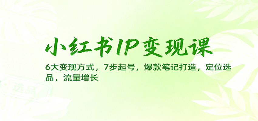 小红书IP变现课:6大变现方式,7步起号,爆款笔记打造,定位选品,流量增长-冷静项目网