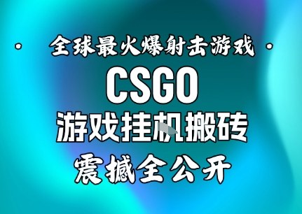 【年底大揭秘】基于全球最火爆的射击CSGO游戏挂G搬砖，日入5张+，震撼公开-冷静项目网