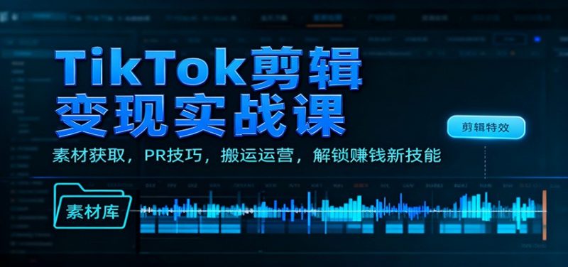 TikTok剪辑变现实战课:素材获取,PR技巧,搬运运营,解锁赚钱新技能-冷静项目网