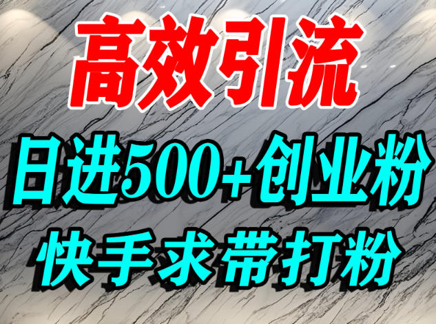 怎么打创业粉？快手求带视角精准引流创业粉，宝妈、学生群体日进500+精准流量-冷静项目网