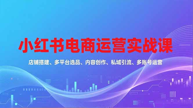 (16695期)小红书电商运营实战课,店铺搭建、多平台选品、内容创作、私域引流、多账号运营等玩法-冷静项目网