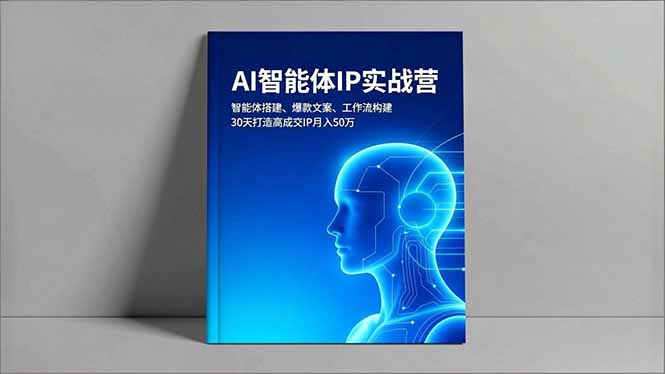 （16689期）AI智能体IP实战营，智能体搭建、爆款文案、工作流构建，30天打造高成交IP月入50万-冷静项目网